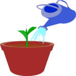 Watering Plant 1