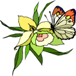 Butterfly & Flower 3
