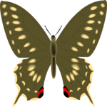 Butterfly 092
