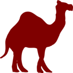 Camel 7