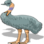 Cassowary 2 Clip Art