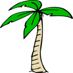 Palm Tree 22