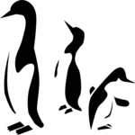 Penguins 1