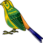 Bird 190