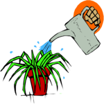 Watering Plant 3