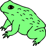 Frog 04