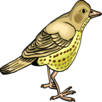 Bird 192 Clip Art