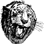Circus - Tiger's Head