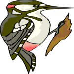 Woodpecker 09