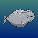 Whale - Gray 2