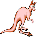 Kangaroo 07