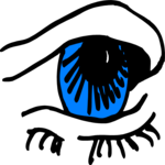 Eye 17