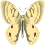 Butterfly 098