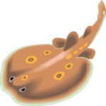 Electric Ray