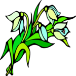 Snowdrop 1