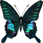 Butterfly 064