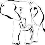 Elephant 06