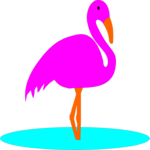 Flamingo 01