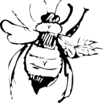 Bee 05