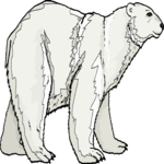 Bear - Polar 04