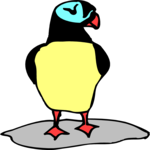 Puffin 04 Clip Art