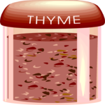 Spice - Thyme Clip Art