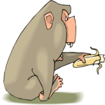 Chimp Eating Banana Clip Art