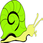 Snail 14