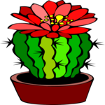 Cactus with Flower 4 Clip Art