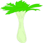 Celery 06 Clip Art