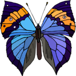 Butterfly 070