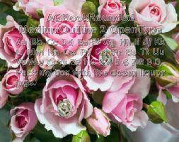 AGBookRounded MediumOutline 2 OpenType font