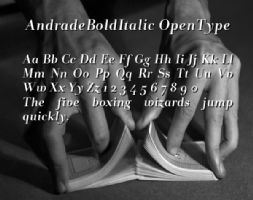 AndradeBoldItalic OpenType font