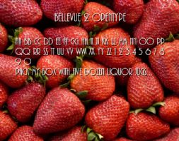 Bellevue 2 OpenType font