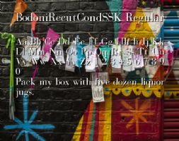 BodoniRecutCondSSK Regular font