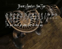Brave_Signature OpenType font