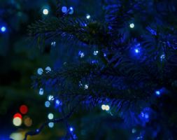 BulmerMT BoldItalicAlt OpenType font