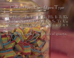 CaslonOpenFace OpenType font
