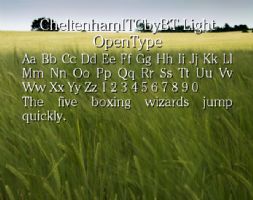 CheltenhamITCbyBT Light OpenType font
