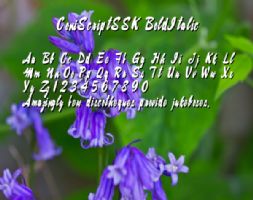 ConiScriptSSK BoldItalic font