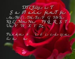 DTLElzevirT SwashItalic OpenType font