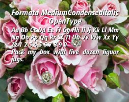 Formata MediumCondensedItalic OpenType font