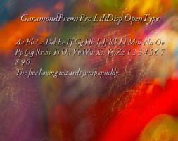 GaramondPremrPro LtItDisp OpenType font