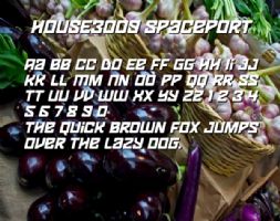 HOUSE3009 Spaceport font