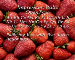 Impressum Italic OpenType font