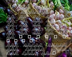 pf frog sitting font