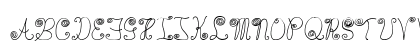 WaaibergSM Regular