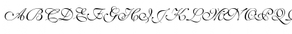 ShelleyVolanteScript-Normal Regular Font ShelleyVolanteScript-Normal Regular Font