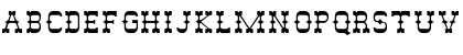 Slim Pickens SSi Regular Font