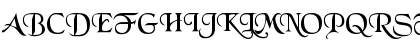 Tenace SSi Regular Font